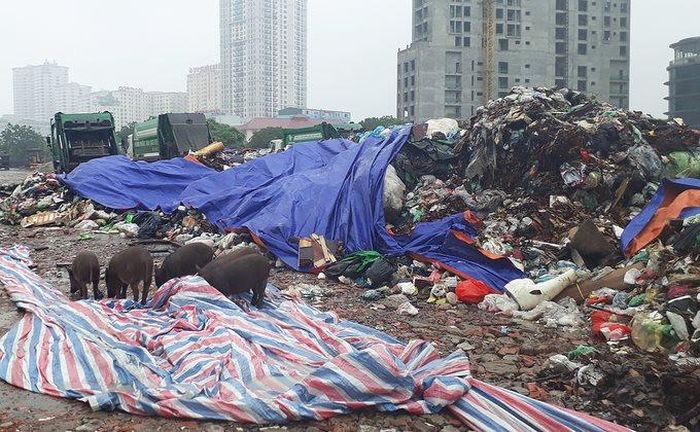 Các bãi rác hiện trạng cũng không đáp ứng nổi nhu cầu của toàn xã hội.