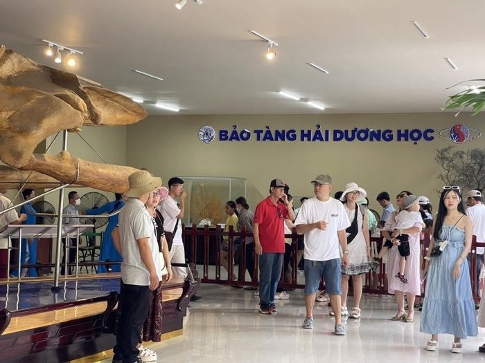 Bên cạnh các khu vui chơi, nhiều người dân và du khách lựa chọn tham quan, tìm hiểu về các loài sinh vật biển và các mẫu vật lớn trưng bày tại Bảo tàng Hải dương học 