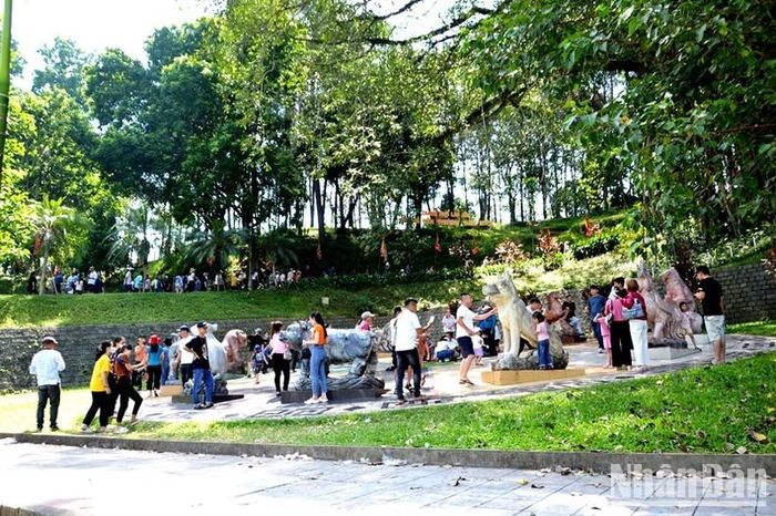 Vui chơi trong khuôn viên Đền Thượng, dưới bóng cây đa trăm tuổi. (Ảnh: QUỐC HỒNG)