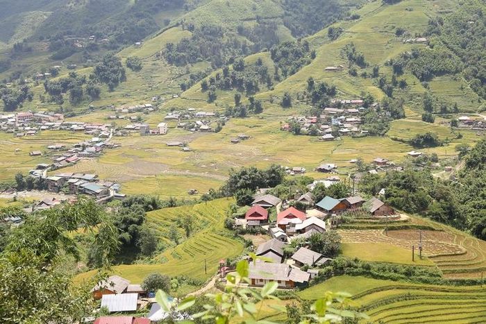  Dự kiến việc thu hoạch lúa mùa 1 vụ vùng cao hoàn thành trong tháng 9. 