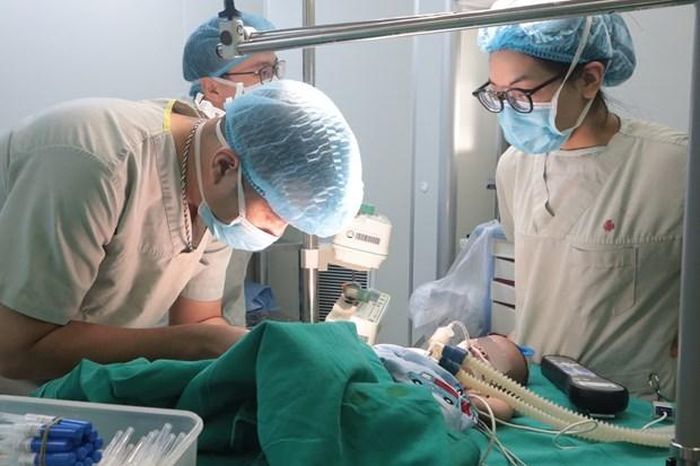 Các bác sỹ chăm sóc cho bệnh nhân. (Ảnh: PV/Vietnam+)