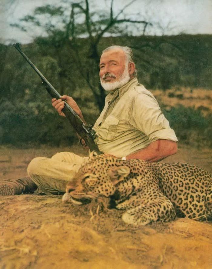 Hemingway trên tạp chí Look năm 1954