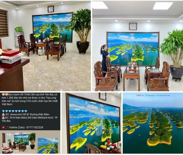 Tác phẩm bị chủ một cửa hàng nội thất đánh cắp để phục vụ mục đích kinh doanh.