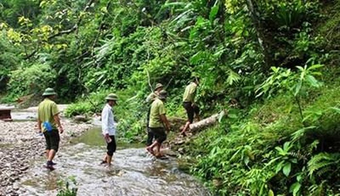 Hương ước giữ rừng quy định cụ thể trách nhiệm, hành vi của người dân trong bảo vệ rừng và tài nguyên rừng. Ảnh minh họa: TTXVN