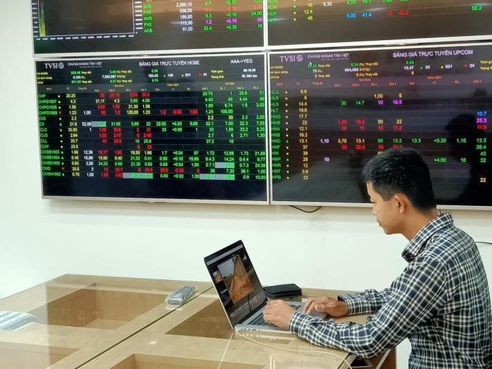 HDB, BVS, NTL, DWG là những cổ phiếu được công ty chứng khoán khuyên nên quan tâm trong phiên giao dịch hôm nay 8/9. Ảnh: Văn Giáp/BNEWS/TTXVN