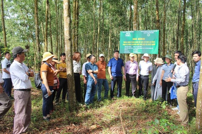Tổ khuyến nông cộng đồng được hình thành linh hoạt, phù hợp với điều kiện cụ thể của từng địa phương. Ảnh: Văn Xuyên/BNEWS/TTXVN