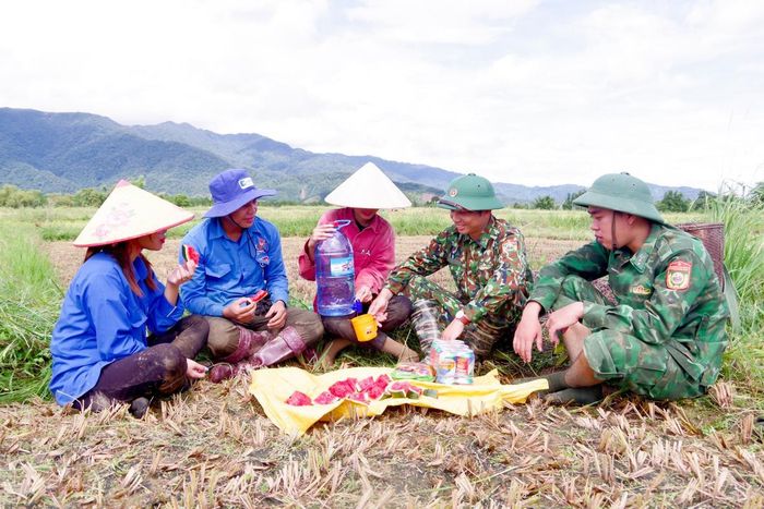 Phút giải lao trên cánh đồng lúa. Ảnh: Võ Tiến