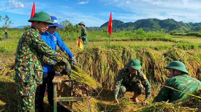 Giúp các hộ neo đơn, khó khăn thu hoạch lúa trước mùa mưa bão