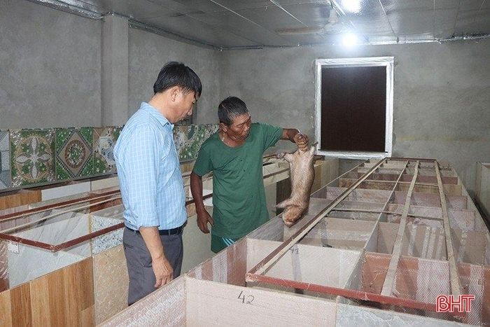 Ông Nguyễn Văn Cương đạt doanh thu trên 400 triệu đồng mỗi năm từ nuôi dúi.