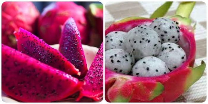 Thanh long rất tốt cho sức khỏe.