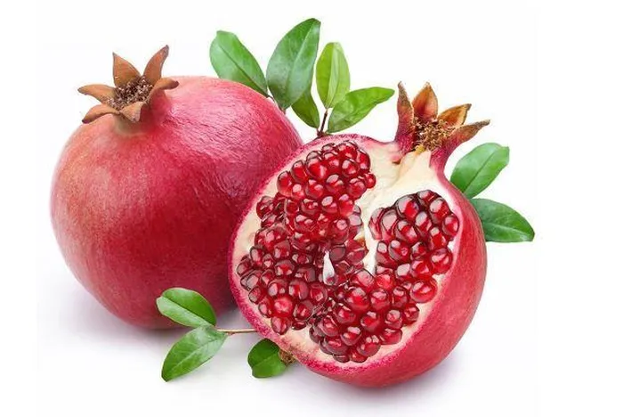 chất chống oxy hóa
