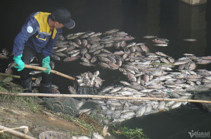 Các công nhân tiến hành thu gom vào chiều 13/9