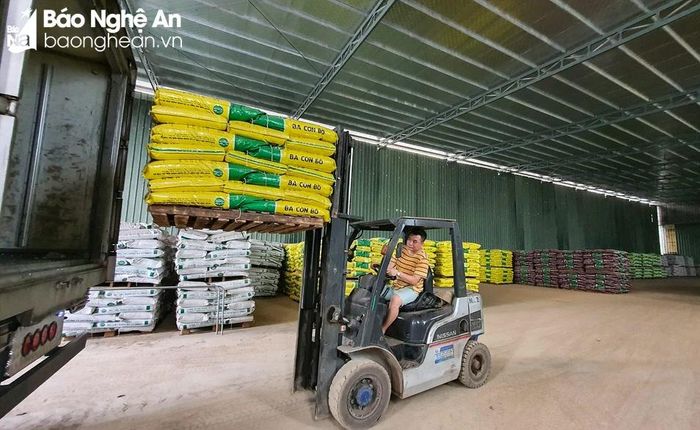 Các đại lý nhập về lượng hàng lớn để phục vụ người dân sản xuất vụ Đông và vụ chiêm Xuân. Ảnh: Thanh Phúc