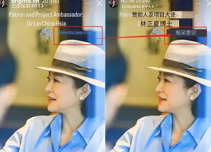Lâm Thanh Hà tại sự kiện gần đây