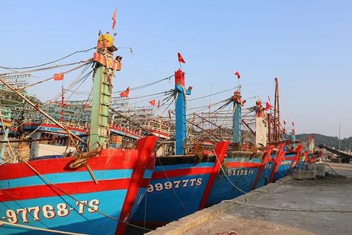 Quảng Bình ưu tiên tập trung thực hiện các nhiệm vụ chống khai thác IUU trên địa bàn tỉnh