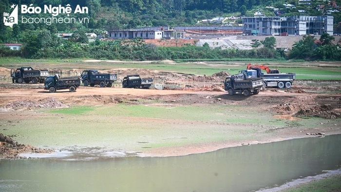  "Công trường" xúc, vận chuyển đất vẫn nhộn nhịp sau đó khoảng gần 1 giờ đồng hồ. Các xe lớn nhỏ xếp hàng thứ tự chờ đến lượt được "ăn" đất. Ảnh: PV 