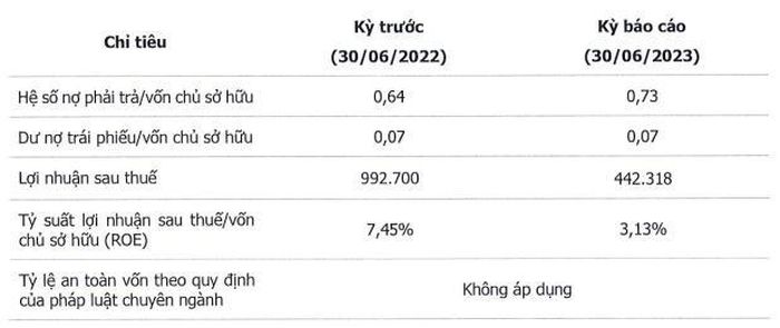 Các chỉ tiêu tài chính cơ bản của VSIP bán niên 2023.
