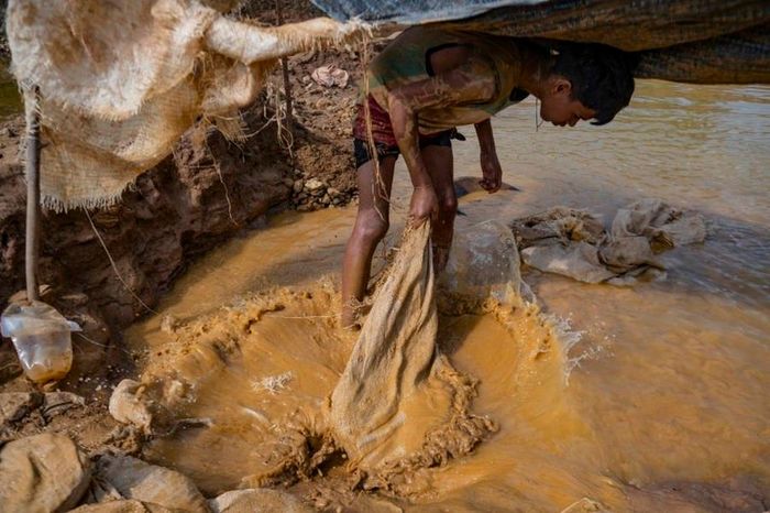 Cậu bé Martin (10 tuổi) không biết đọc, giải thích rằng: “Bất cứ thứ gì là vàng đều bị dính thủy ngân”, một chất độc hại được sử dụng để chiết xuất vàng từ quặng.