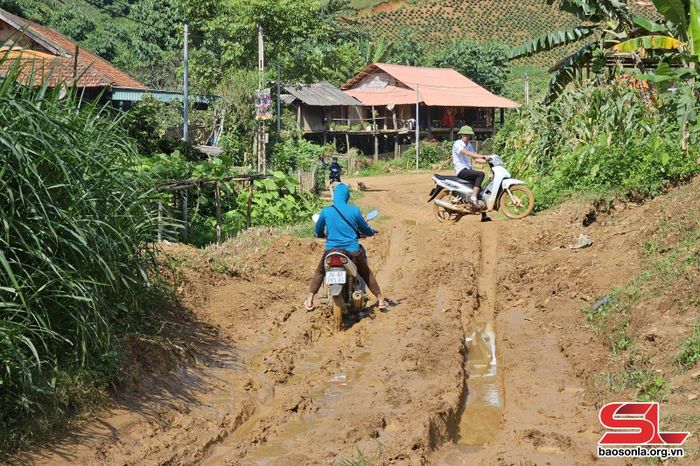Tuyến đường từ Trung tâm xã Phiêng Pằn đi Đồn Biên phòng Phiêng Pằn nhiều đoạn bị lầy lội.