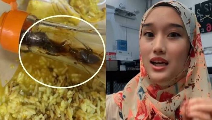 Ăn gần xong bát cơm rang, cô gái phát hiện có 3 con gián chết trong chai nước tương.