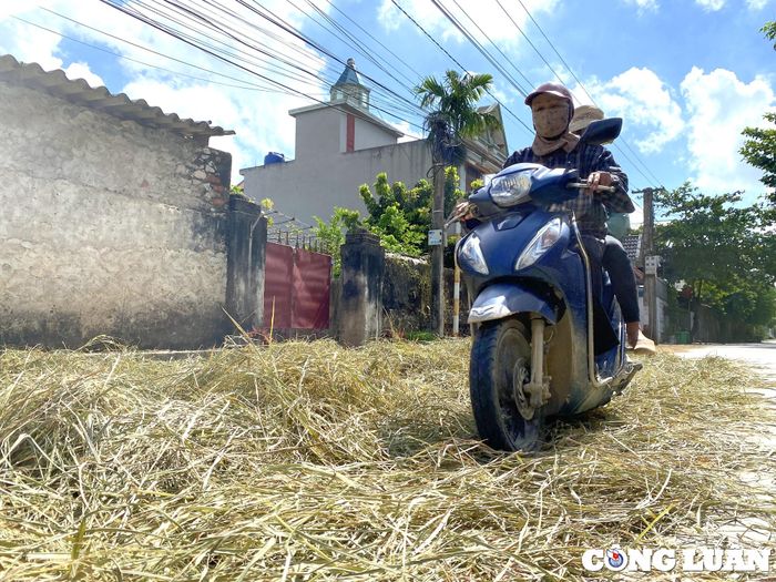  Người dân lo sợ mỗi khi đi qua những đoạn đường phơi rơm rạ quấn vào gầm xe 