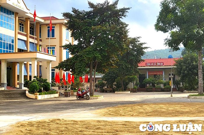  Công sở UBND xã Vĩnh An cũng được dùng để phơi lúa. 
