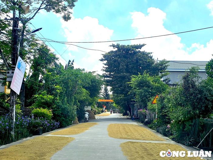  Tình trạng phơi nông sản, rơm rạ khiến nhiều người đi đường bức xúc 