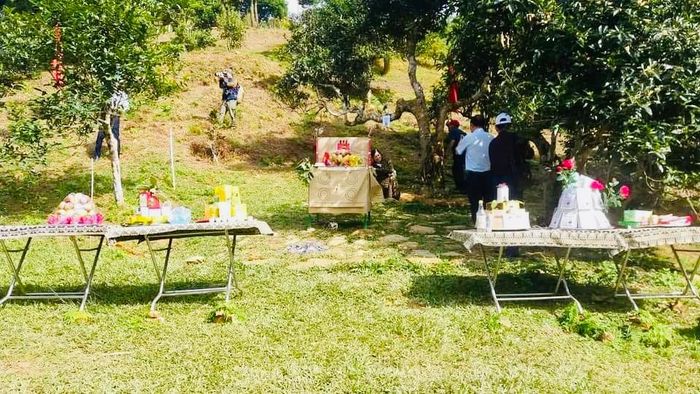 Người dân bày đồ lễ quanh cây chè tổ, đồ lễ gồm: Hương, rượu, cơm nếp; bên dưới dưới bàn thờ có một con gà trống đen còn sống.