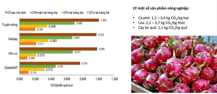 Dấu vết carbon trong sản xuất thanh long. (Nguồn: Khuyến nông Bình Thuận).