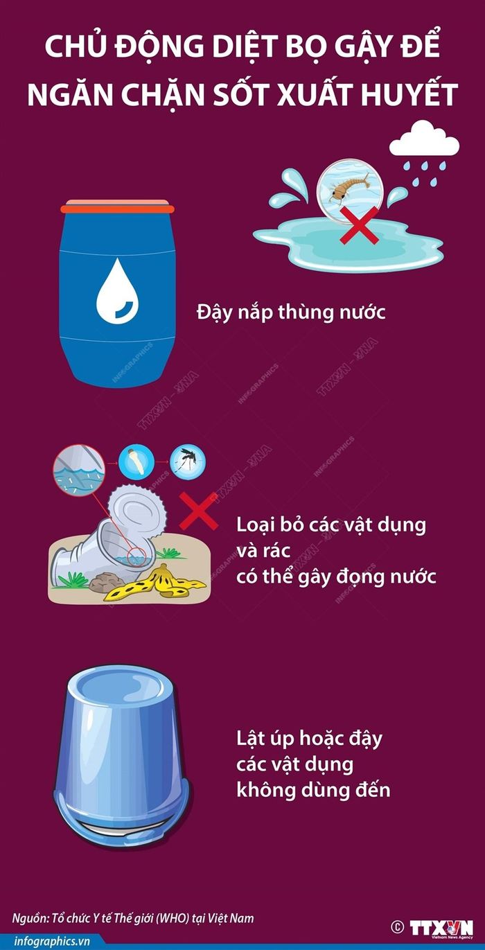 Chủ động diệt bọ gậy để ngăn chặn sốt xuất huyết. Theo infographics.vn