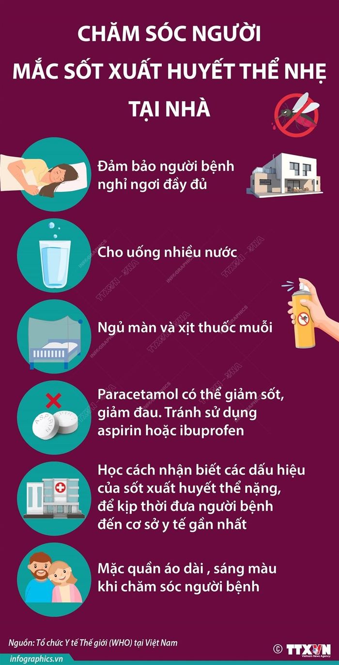Chăm sóc người mắc sốt xuất huyết thể nhẹ tại nhà. Theo infographics.vn