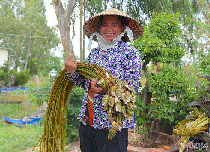 Để thu hoạch bông súng, người dân phải dậy từ rất sớm, đeo đèn pin hái bông từ 3h sáng để 7h kịp cân cho thương lái.