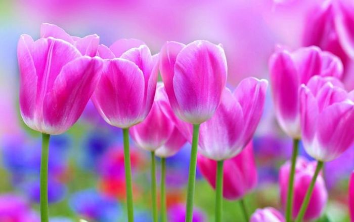 Người sinh vào ngày 18 Âm lịch nhiều tham vọng, luôn tìm kiếm những mục tiêu cao cả. (Ảnh Pixabay)