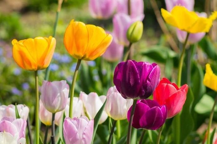 Người sinh sinh vào 2 ngày này không sợ thử thách và thường tìm cách khám phá thế giới xung quanh. (Ảnh Pixabay)