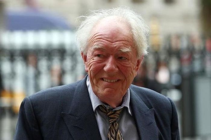 Michael Gambon sinh năm 1940 tại thủ đô Dublin của Ireland, trong một gia đình cơ bản với mẹ là thợ may và cha là kỹ sư.