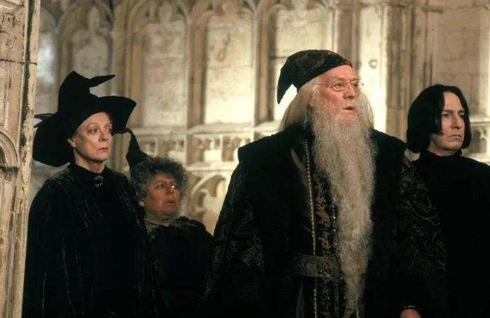 Tuy nhiên, vai diễn thầy hiệu trưởng Albus Dumbledore đáng kính trong loạt phim Harry Potter là nổi bật nhất. Ông lột tả thành công hình ảnh nhân vật thông thái, bao dung nhưng quyết đoán.