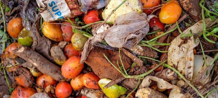Lãng phí thực phẩm là một thách thức đáng kể đối với cả nông dân và người bán hàng. (Ảnh: FAO/chụp tại chợ Lira ở Uganda)