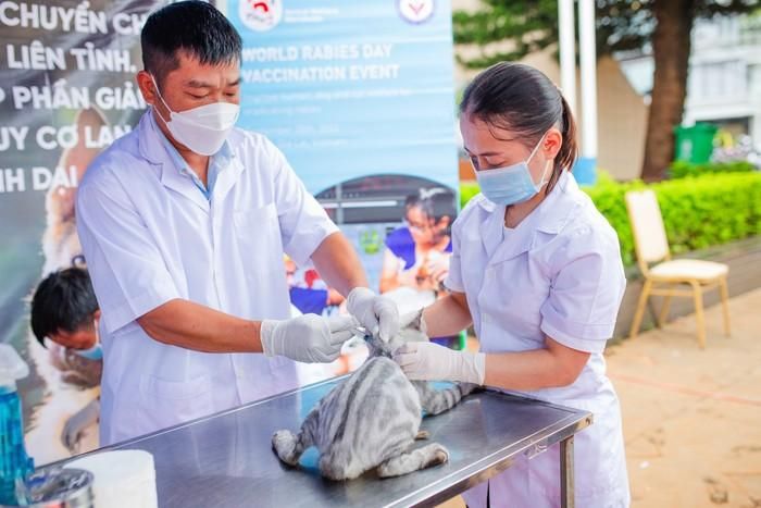 99% các ca lây truyền đều bắt nguồn từ vết cắn hoặc vết xước từ chó mắc bệnh dại