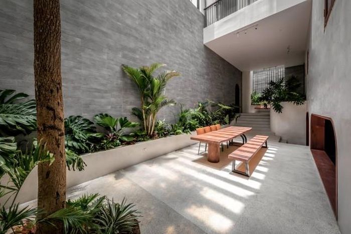 Khoảng sáng thông tầng và cây xanh đưa ánh sáng tự nhiên xuống tầng hầm.