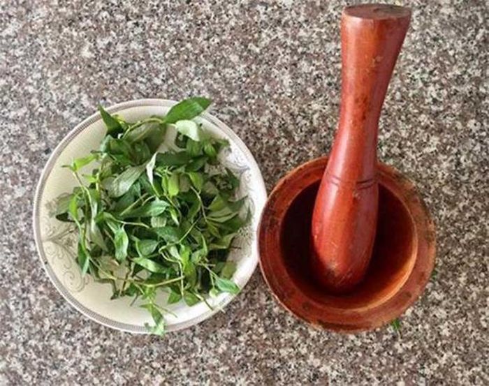 Rau răm có tác dụng kháng khuẩn, ngăn ngừa tổn thương do hắc lào lan rộng.