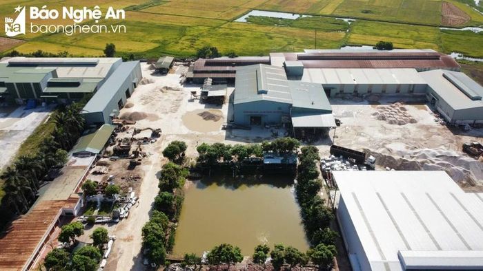 Công ty TNHH Châu Tiến. Ảnh: Tiến Hùng 