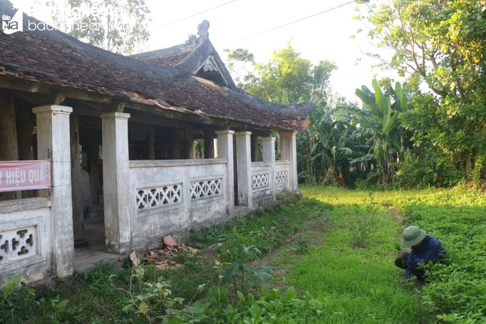  Bà Nguyễn Thị Hà, người trông coi di tích nhà thánh Hoành Sơn chia sẻ: Sau đợt mưa lớn vừa qua, công trình đã xuống cấp nghiêm trọng, khiến chúng tôi vô cùng lo lắng. Di tích độc đáo, biểu tượng của một vùng quê khoa bảng đang "kêu cứu", rất cần sự quan tâm của các ban, ngành, các cấp, sớm có phương án trùng tu, tôn tạo. Ảnh: Huy Thư 