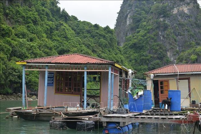 Những ngôi nhà của làng chài bị hư hỏng, xiêu vẹo. Ảnh: Thanh Vân/TTXVN
