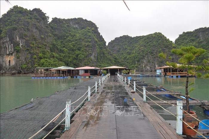Trung tâm bảo tồn làng chài Vung Viêng trên vịnh Hạ Long. Ảnh: Thanh Vân/TTXVN