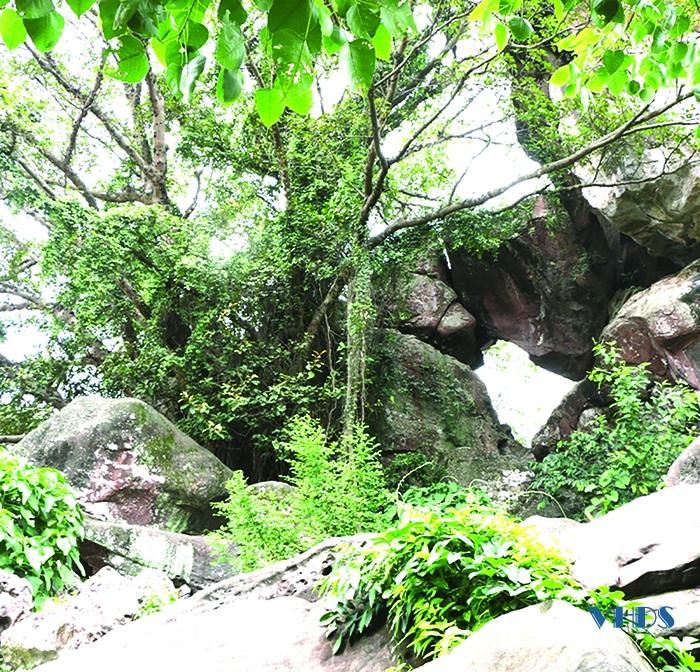 Danh thắng núi Voi mang vẻ đẹp kỳ lạ.