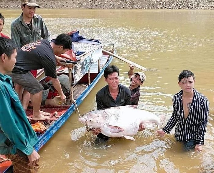 Ngư dân ở xã Tà Hộc vui mừng khi bắt được cá to.