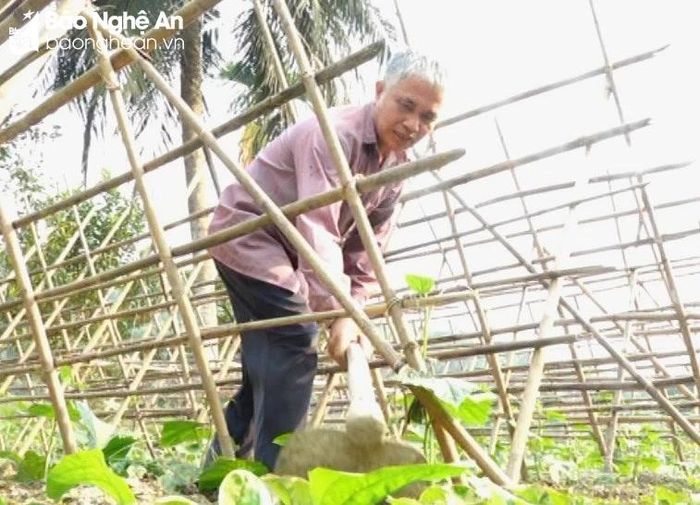  Ông Hà Văn Cảnh - Phó Bí thư Chi bộ - Trưởng bản Tân Sơn, xã Môn Sơn, huyện Con Cuông là tấm gương sáng trong phong trào dân vận khéo. Ảnh: Thu Trang 