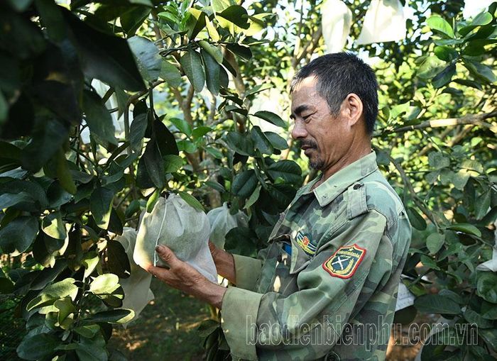 Nông dân bản Rạng Ðông, xã Rạng Ðông (huyện Tuần Giáo) chăm sóc cây ăn quả. Ảnh: Mai Giáp