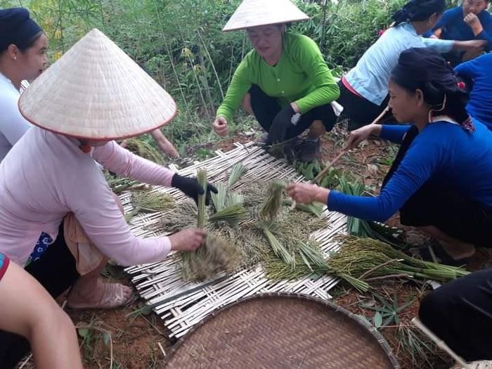 Nhiều hoạt động sẽ được diễn ra