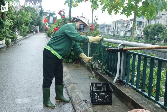 Mặc dù lượng cá chết không dày đặc như ngày 10/10 song công nhân khá vất vả. Ảnh: Thanh Phúc